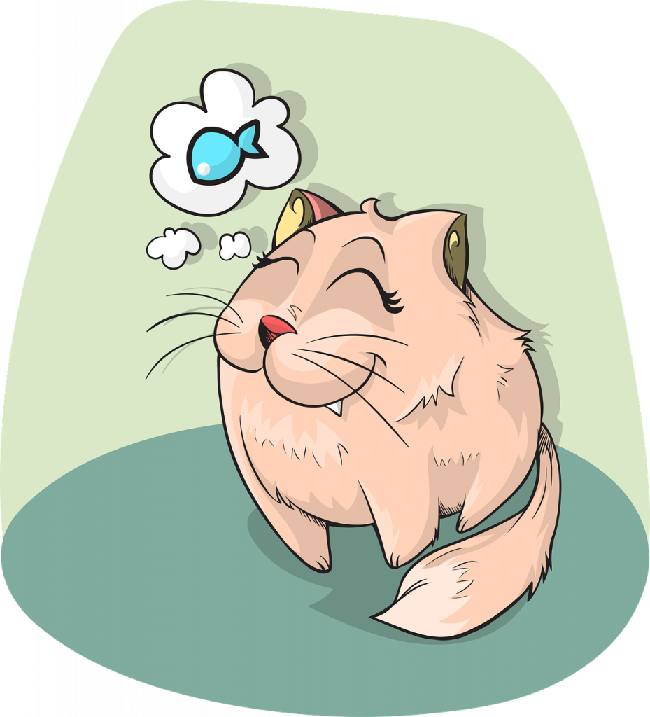 cat, animal, fish-1454469.jpg